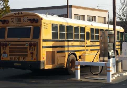 10395_school_bus.jpg